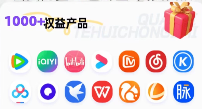 虚拟产品货源网站客服界面与库存查询演示